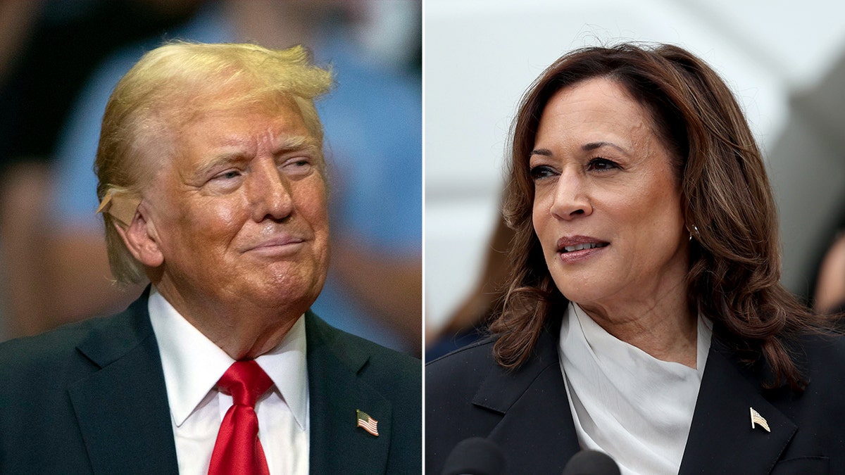 A split image of former President Donald Trump looking to the right (left) and Vice President Kamala Harris looking to the left (right).