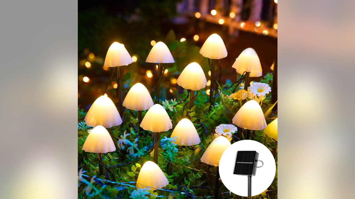 Charming solar mushrooms add uniqueness to your garden.