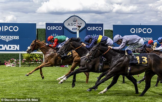 Northern Express triumphs in the big handicap at Ascot this weekend at 22-1 odds