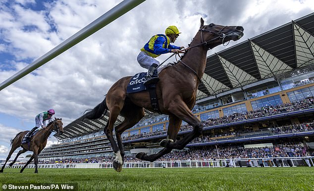 The Francis Henri Graffard-trained gelding, Goliath, stunned the field winning a historic race