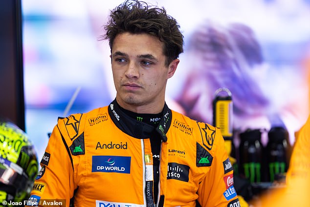 Lando Norris failed to capitalise on Verstappen's grid penalty, coming fifth in Spa qualifying