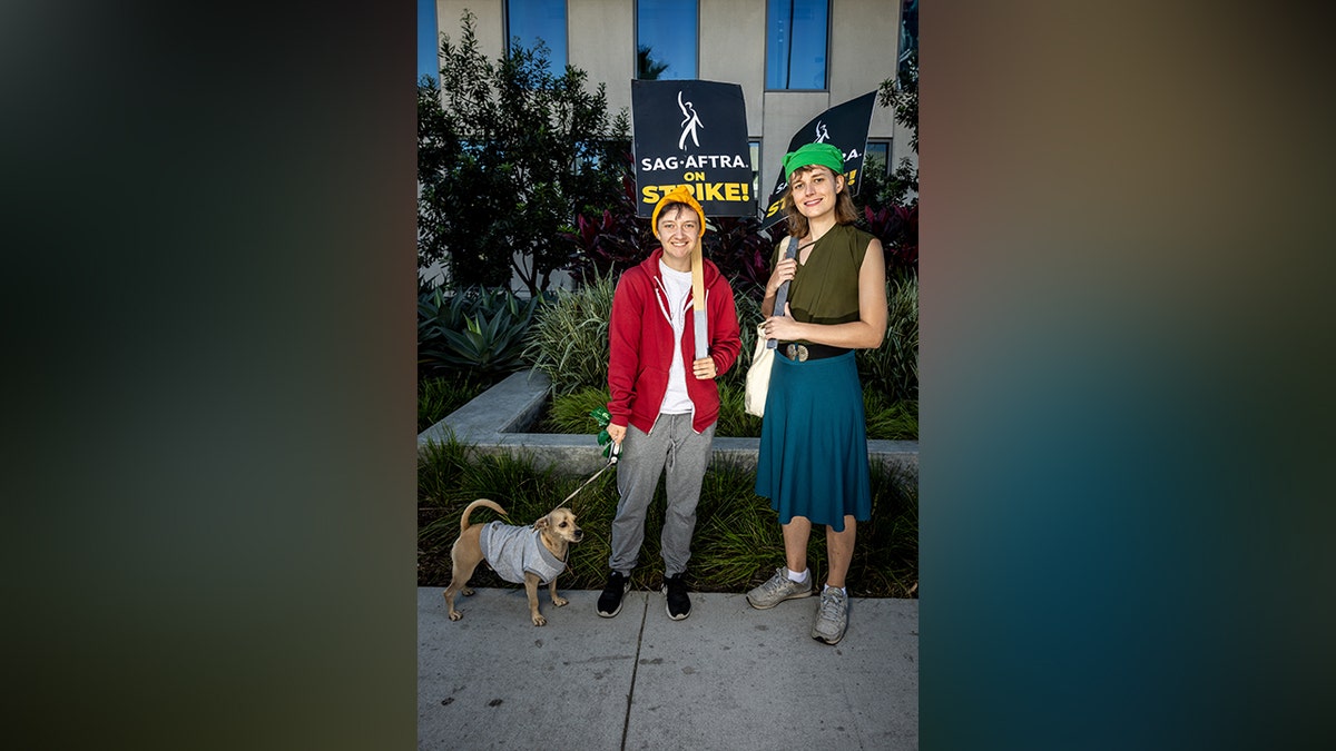 Voice actors for the Legend of Zelda protest