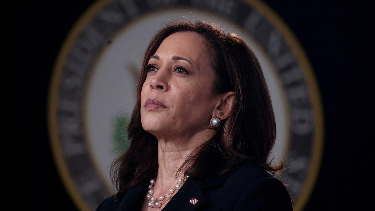 U.S. Vice President Kamala Harris at an infrastructure event