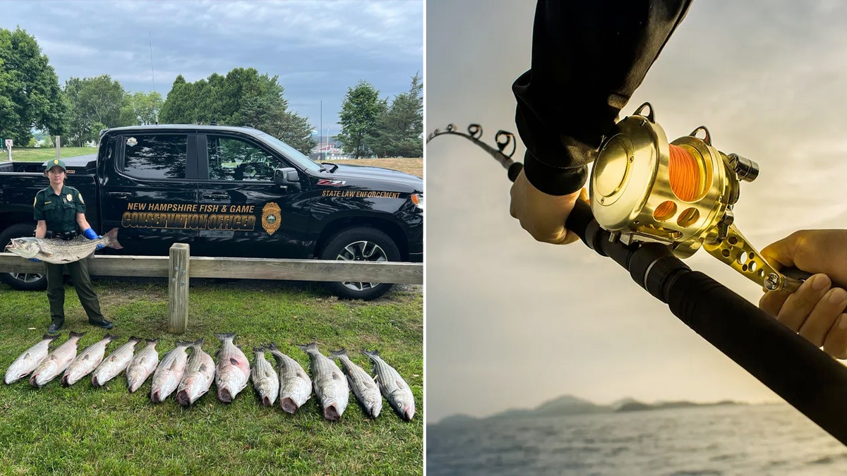 Angler arrested in NH