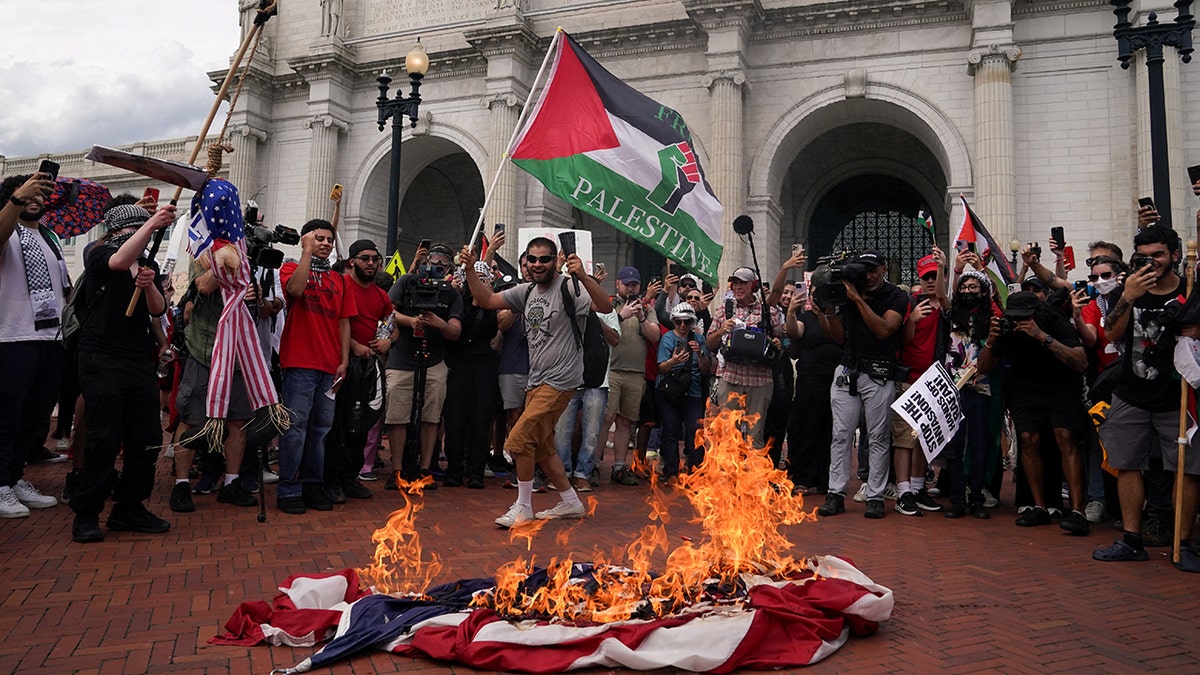 Pro-Palestinian demonstrators