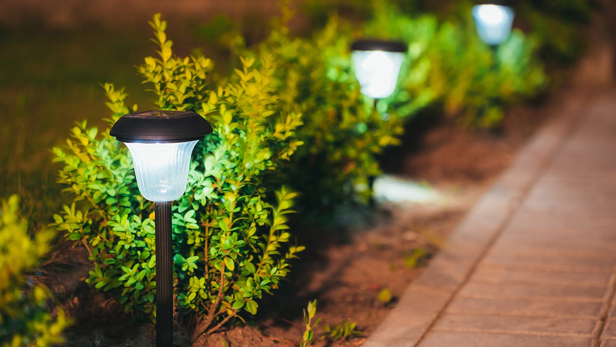 Illuminate your backyard with strategically placed solar lights.