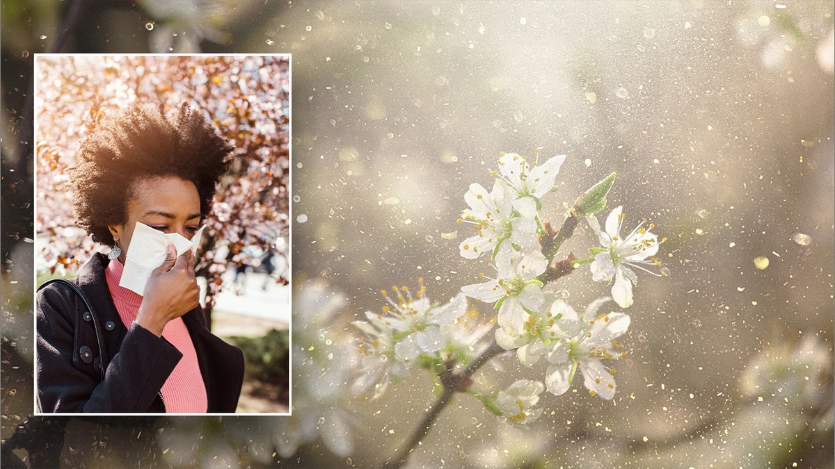 Woman blowing her nose with pollen in the air