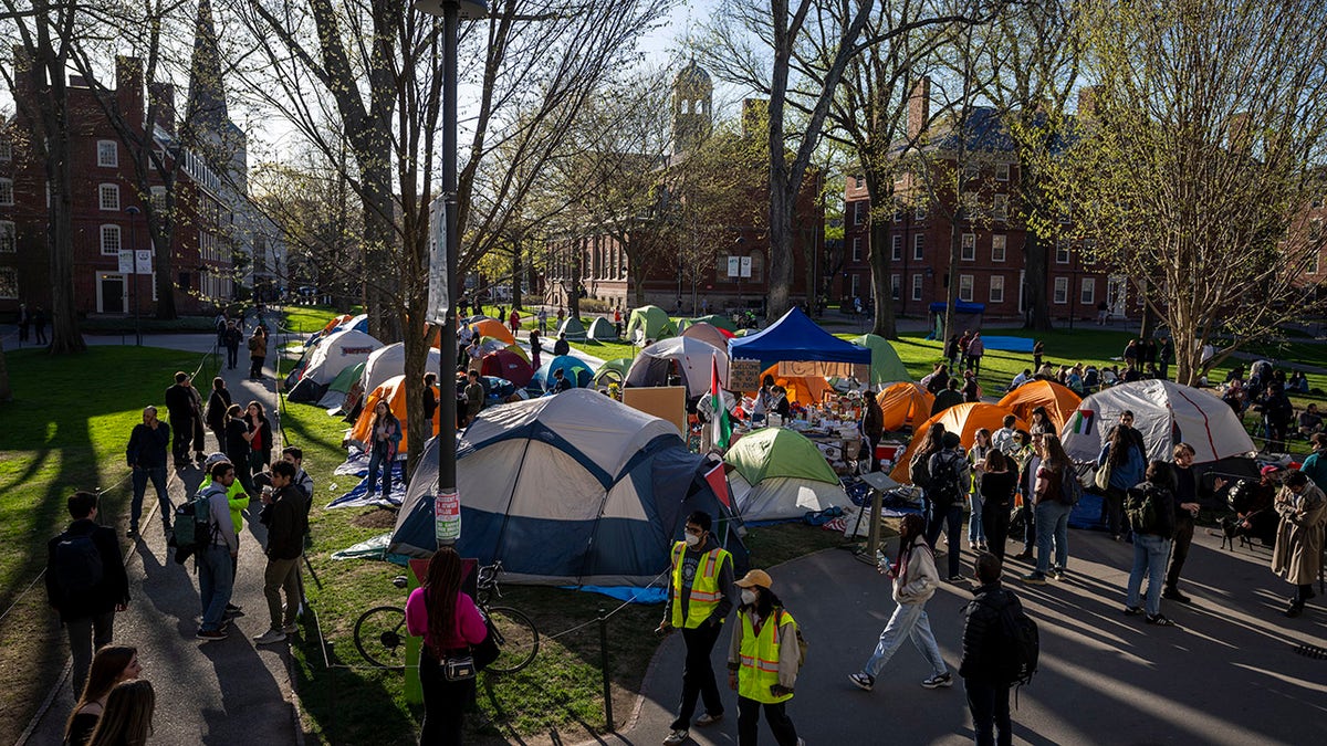 Anti-Israel protest at Harvard