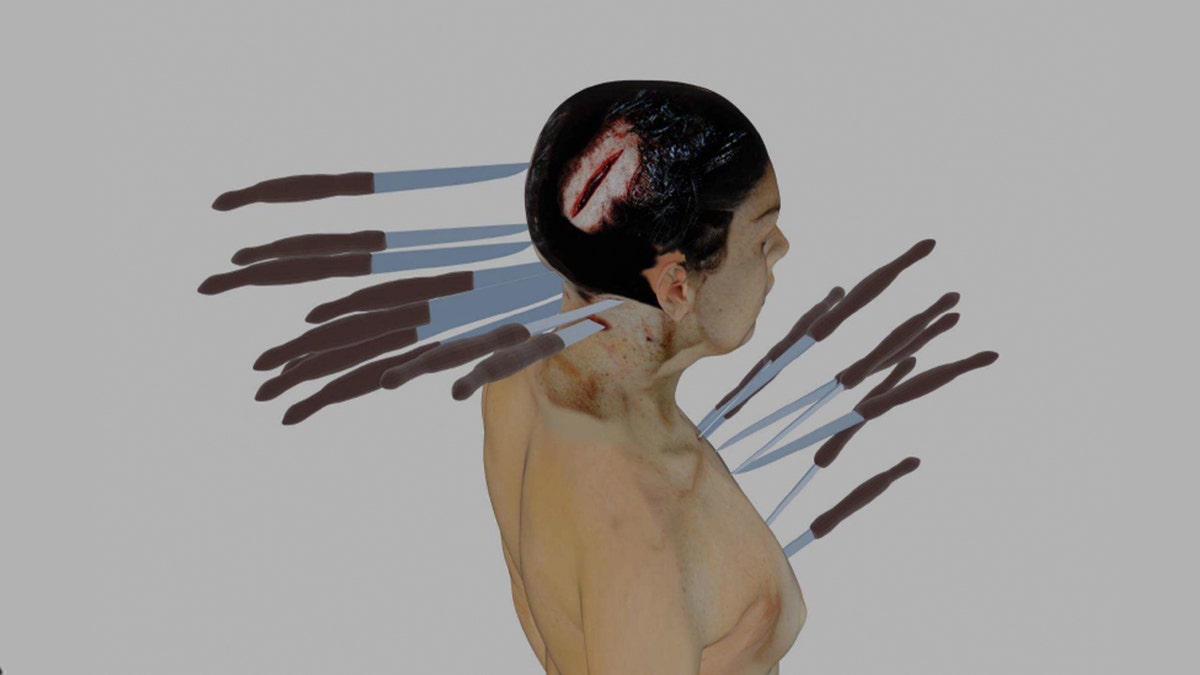 A rendering displaying multiple stab wounds on Ellen Greenberg