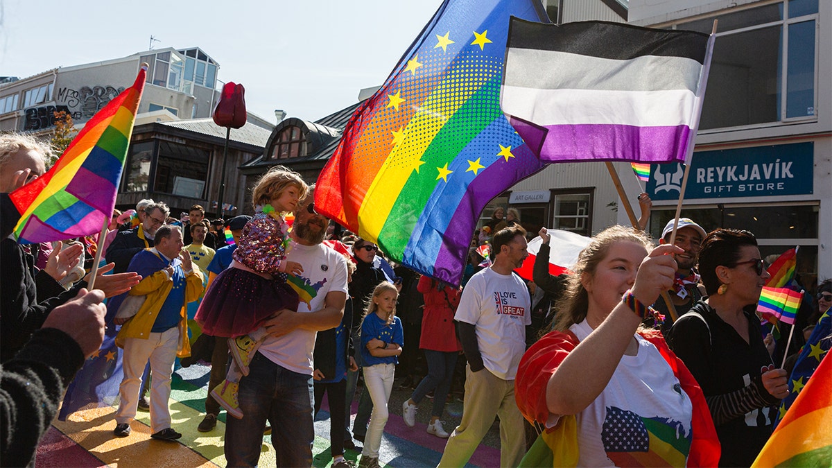 Iceland Pride Event