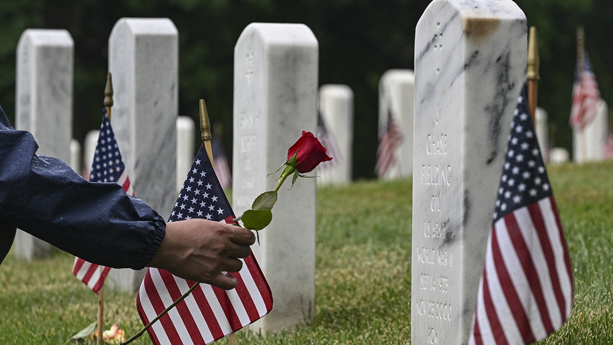 A rose placed at a veteran's gravestone