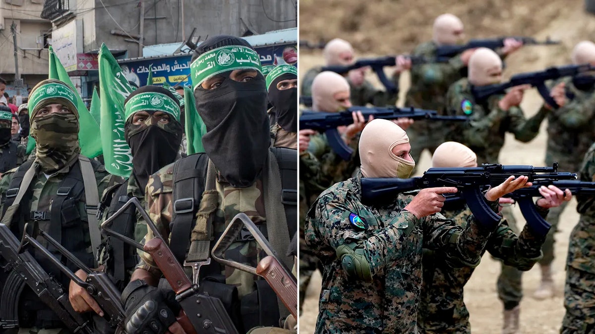 Hamas and Hezbollah