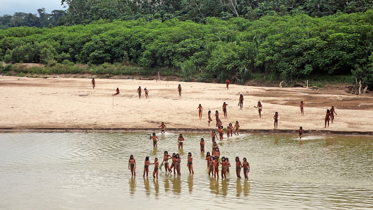 Peru-Logging-Mashco-Piro